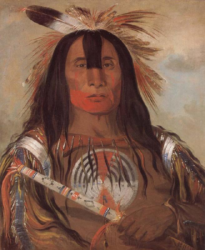 George Catlin Buffalo Bull-s Back Fat Oberhauptling des Blutstammes